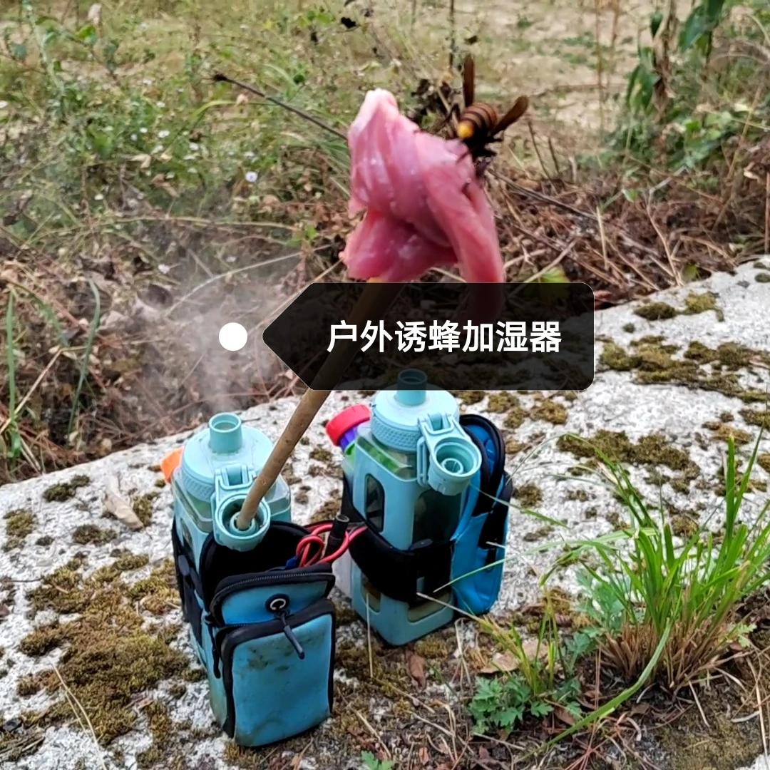 金环虎头蜂诱蜂加湿器 马蜂胡蜂诱蜂水 金环红娘黑尾