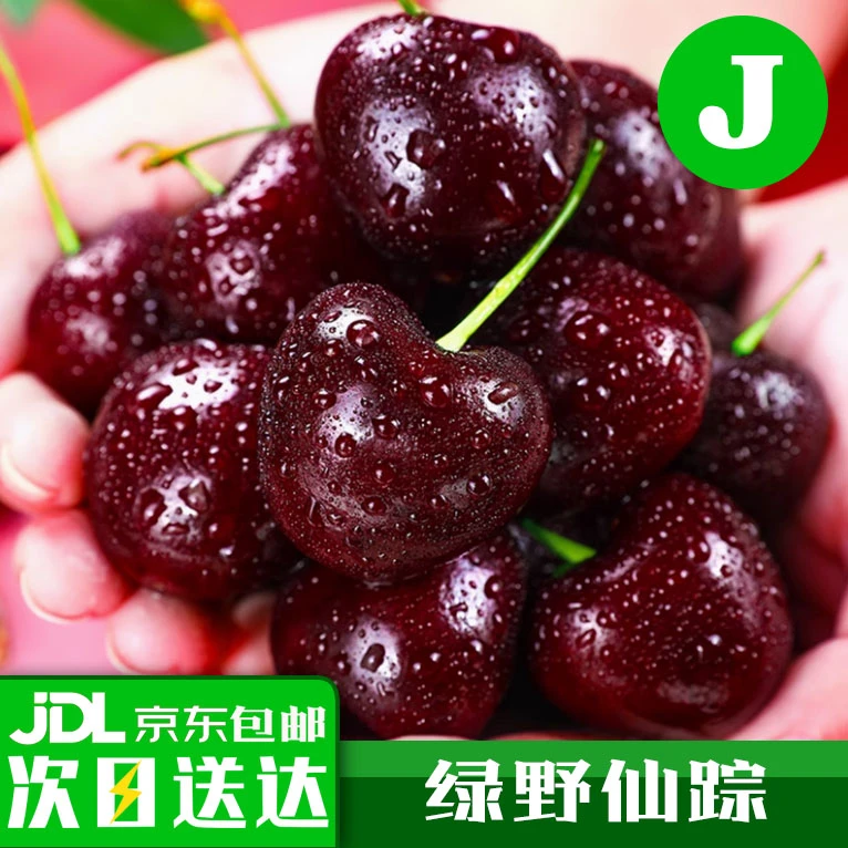 智利进口车厘子1J 3-5斤原装或礼盒装海南全岛送【次日达 京东包邮】