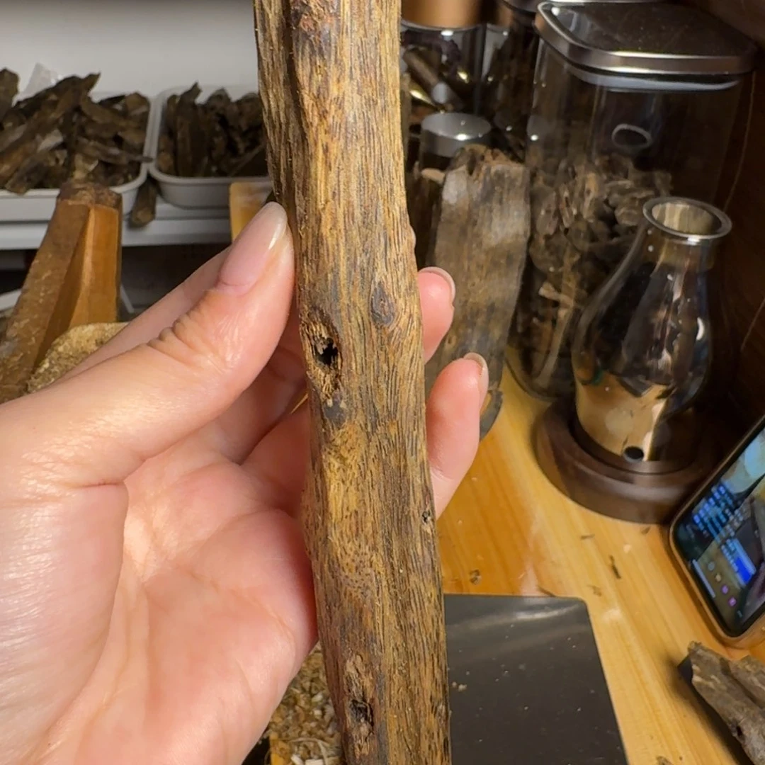 沉香白奇乌身品种虫漏香21克