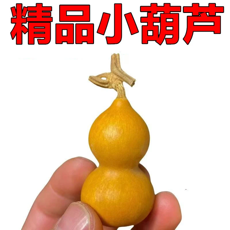 天然手捻葫芦文玩小葫芦带龙头福禄葫芦手把件