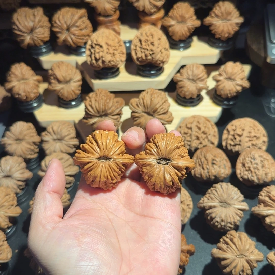 核桃41全品打底四座楼