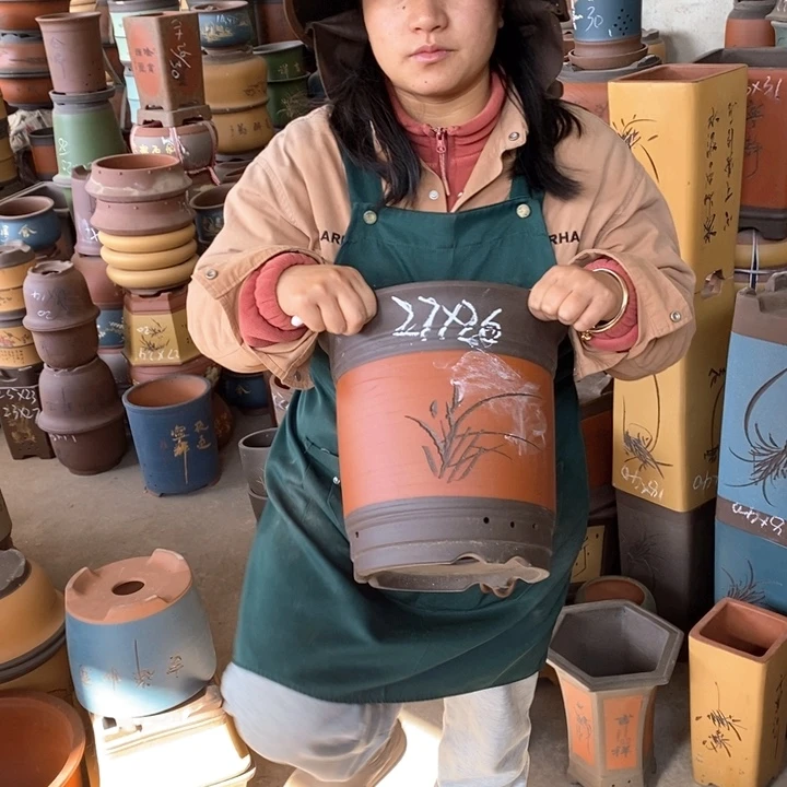 紫砂花盆盆栽花卉苗木种植