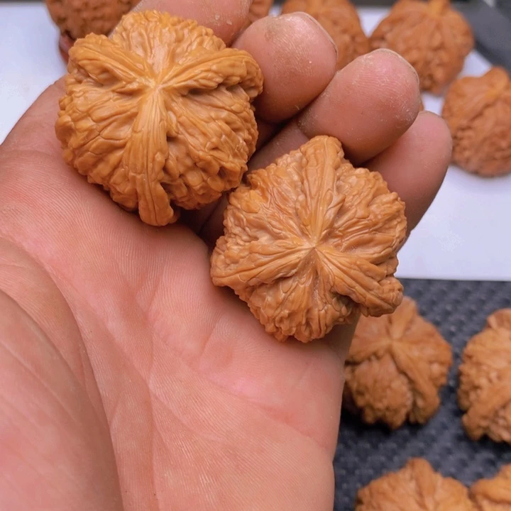 核桃手串/手链拼接白狮子4