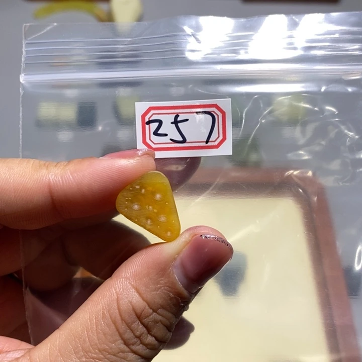 蛇纹石玉颈饰未镶嵌李**?