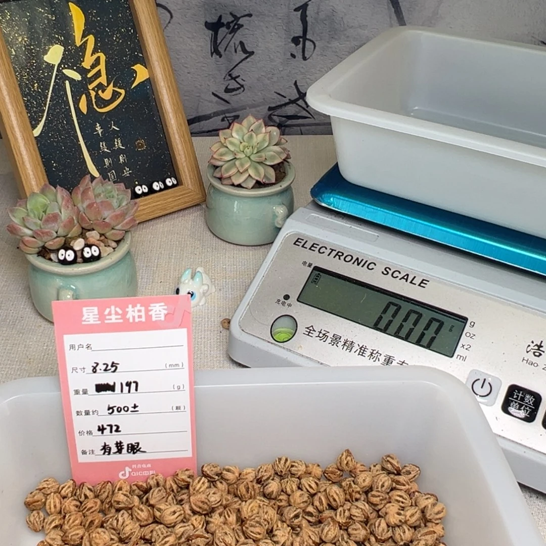 原***我吊坠柏香籽/百香籽