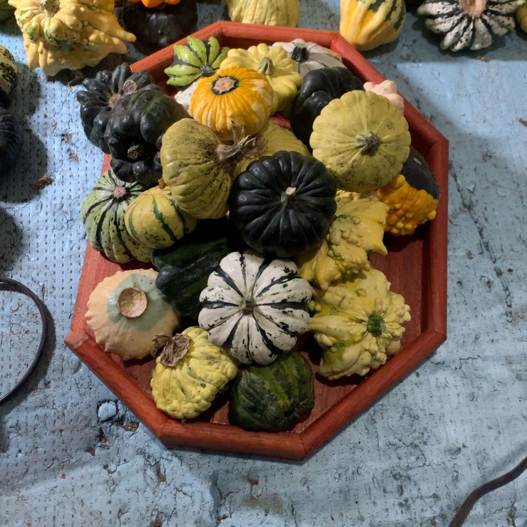 旺*源墨西哥！墨西哥！墨西哥