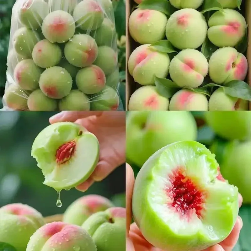 【新鲜水果】正宗青州蜜桃子离核桃小冬桃毛桃当季热卖新鲜时令水果