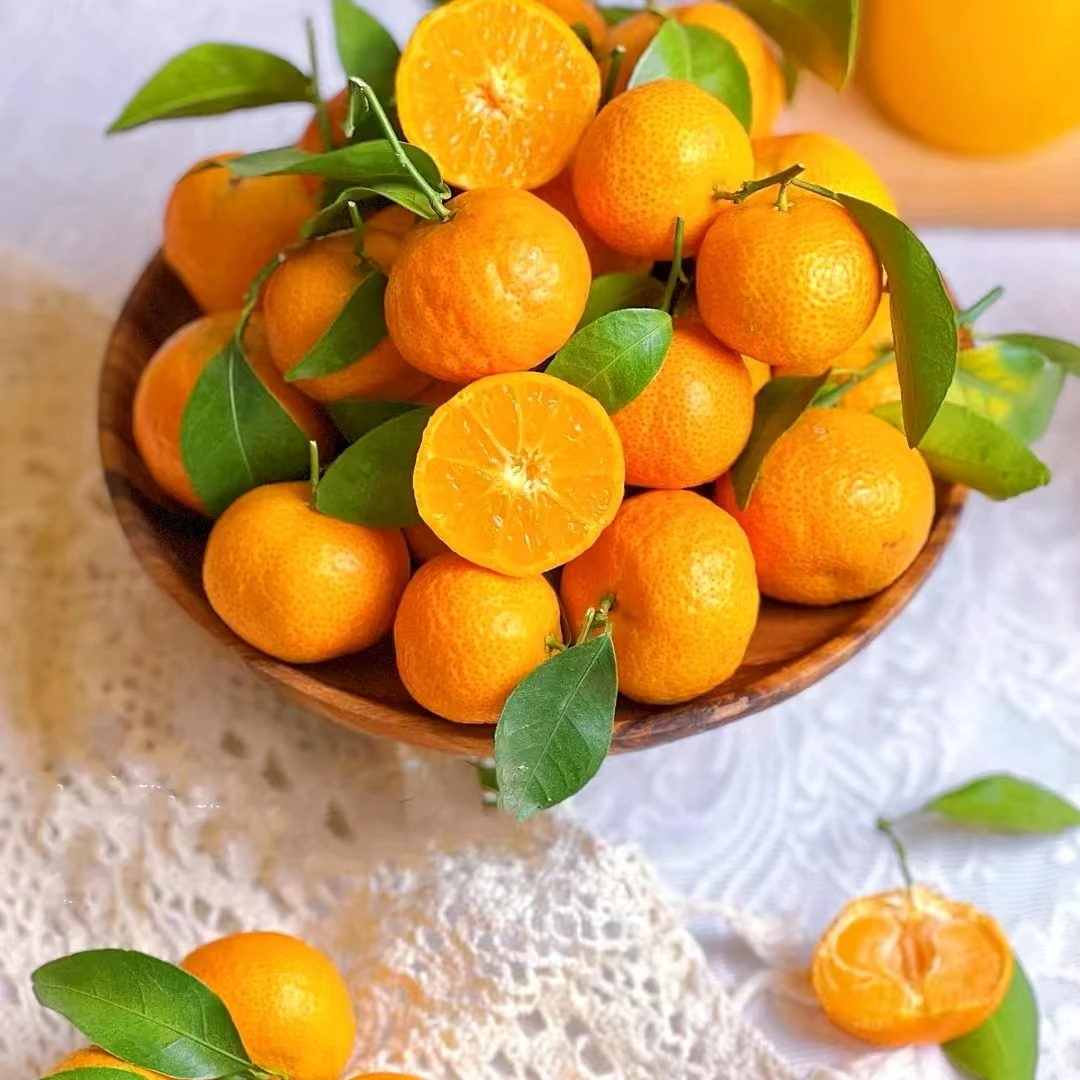 【乔乔专属】砂糖桔新鲜水果无籽水果橘子鲜果蜜桔
