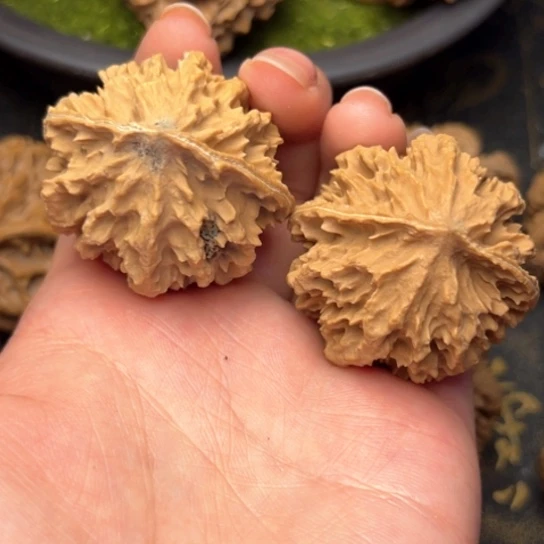 文玩核桃吊坠秦岭核桃10