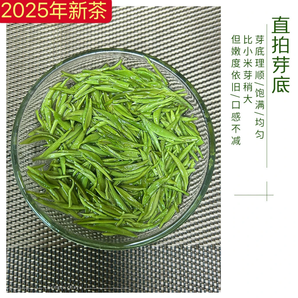 2025年新茶信阳毛尖头采中小芽性价比高好喝