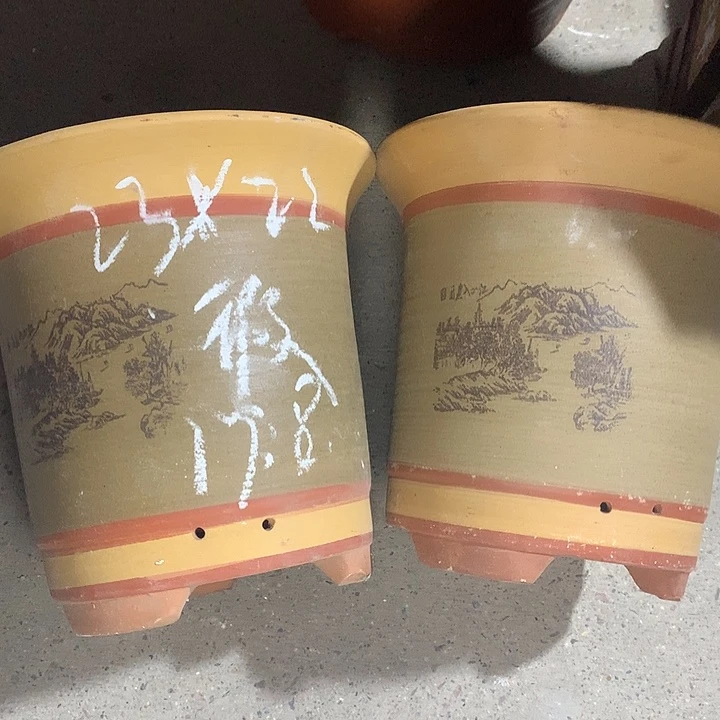 紫砂花盆紫砂的颜色和质地