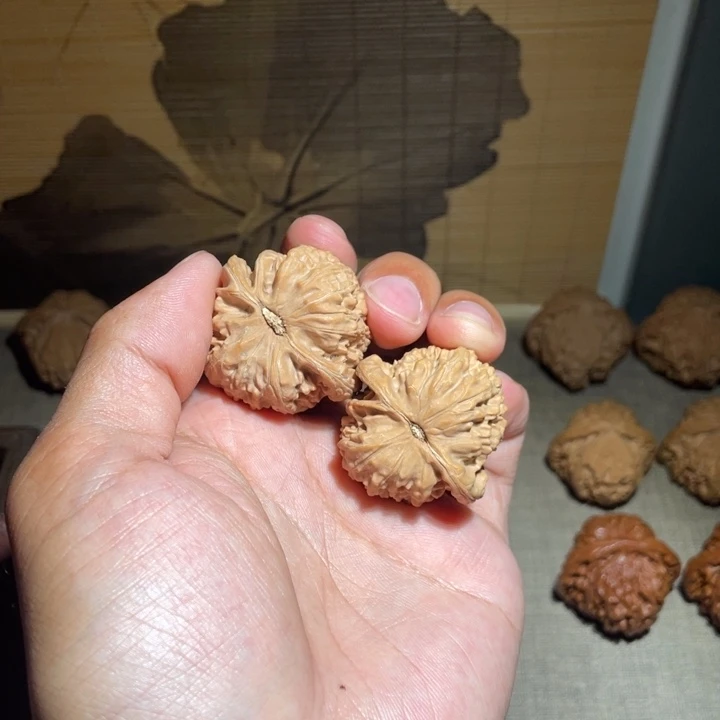 桃核把件E*n文玩核桃 白狮子