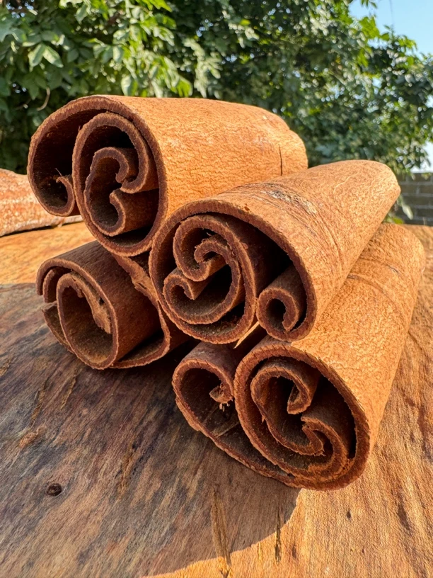 广西高山油桂 无硫自然晾晒桂皮