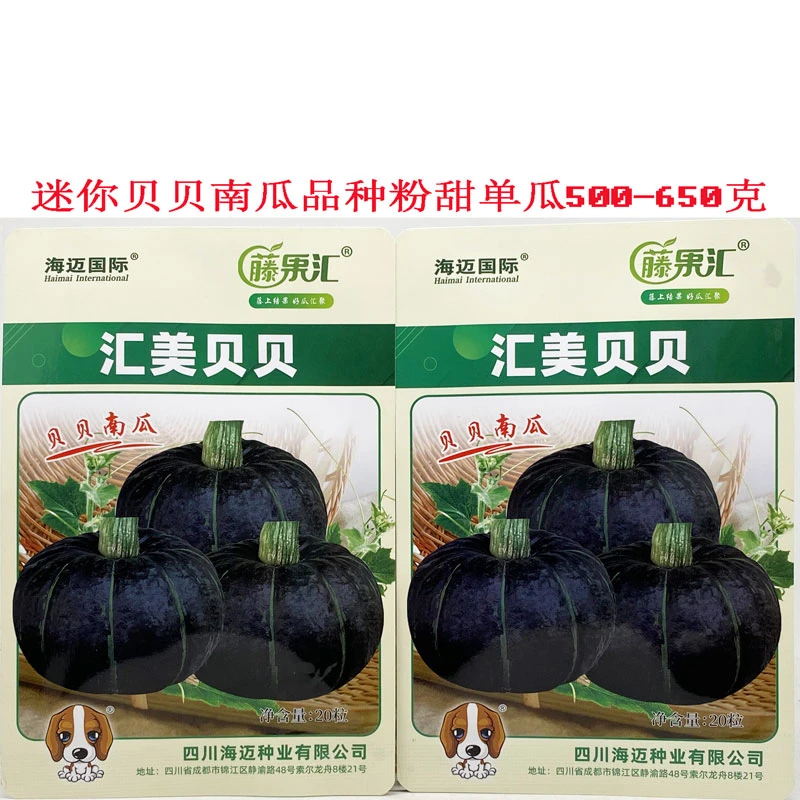 汇美贝贝南瓜种籽高产厚肉粉甜糯迷你小贝贝南瓜种子原装