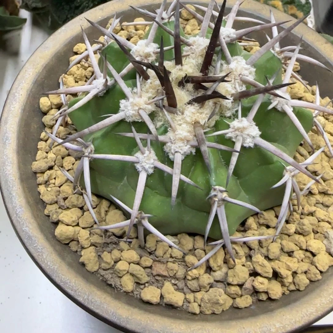 落***员一物一拍所见即所得