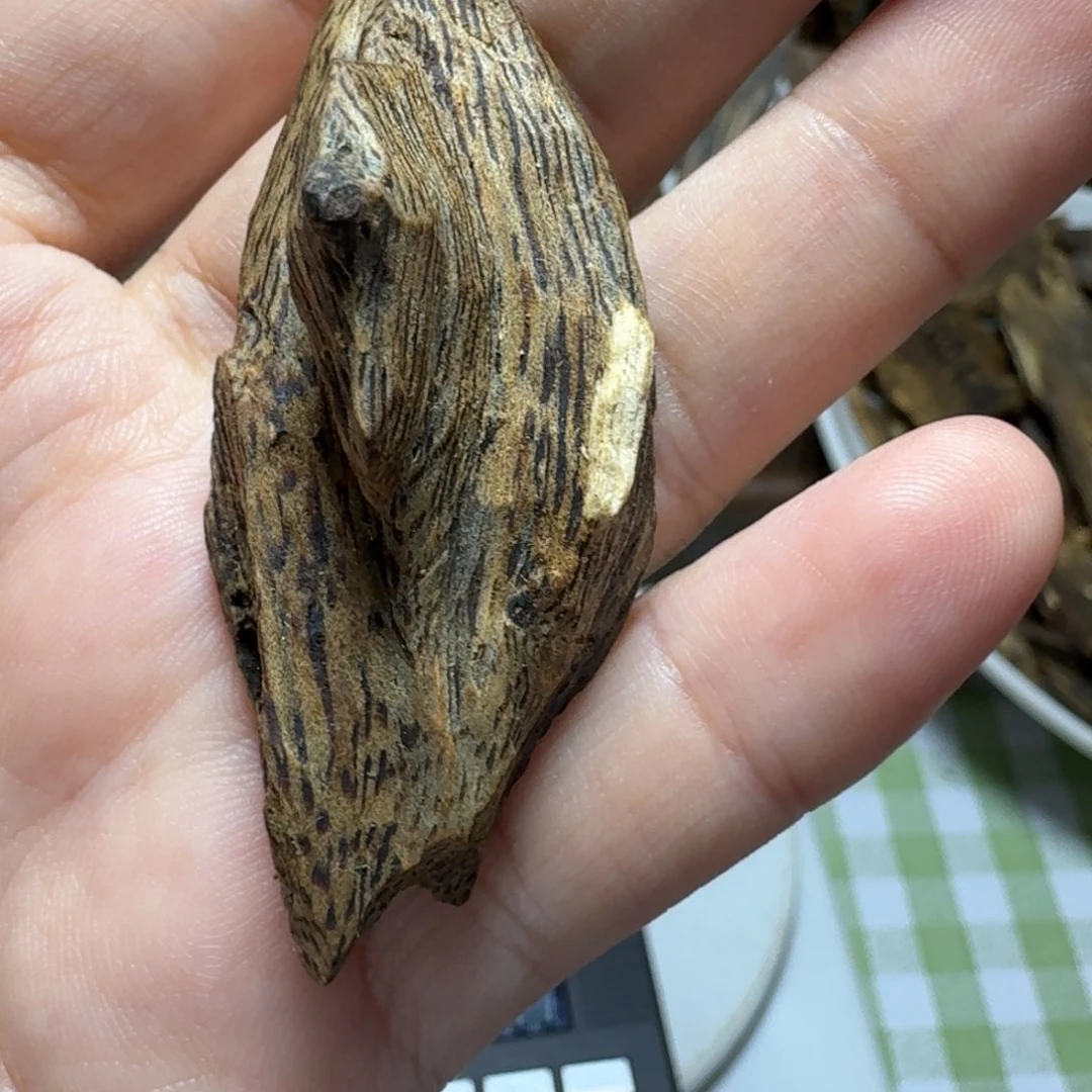 木?**爪奇楠陆河大眼睛4g