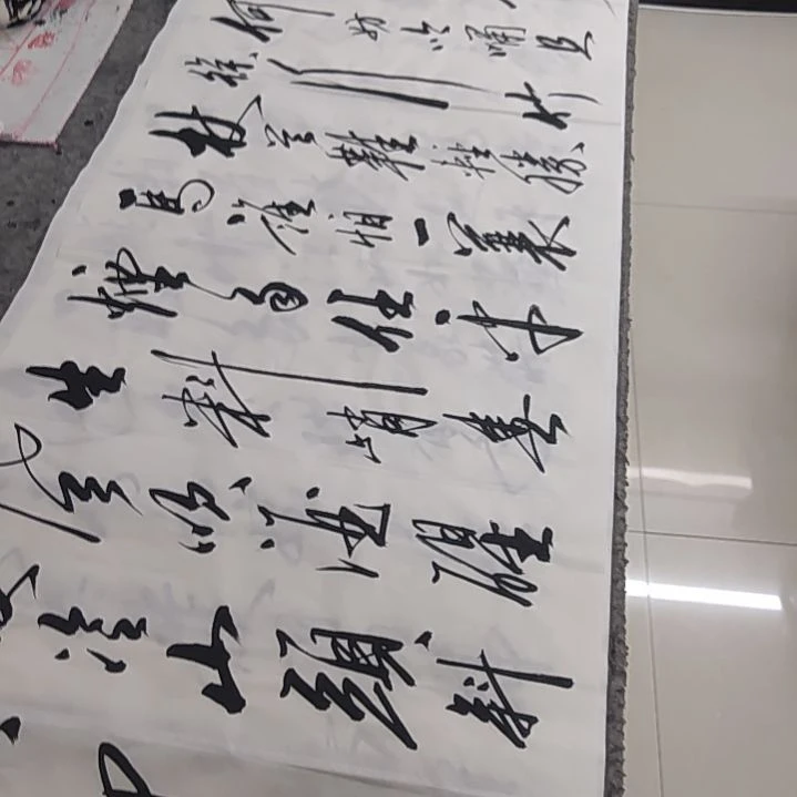书法书法作品定风波再赠送一副咏梅
