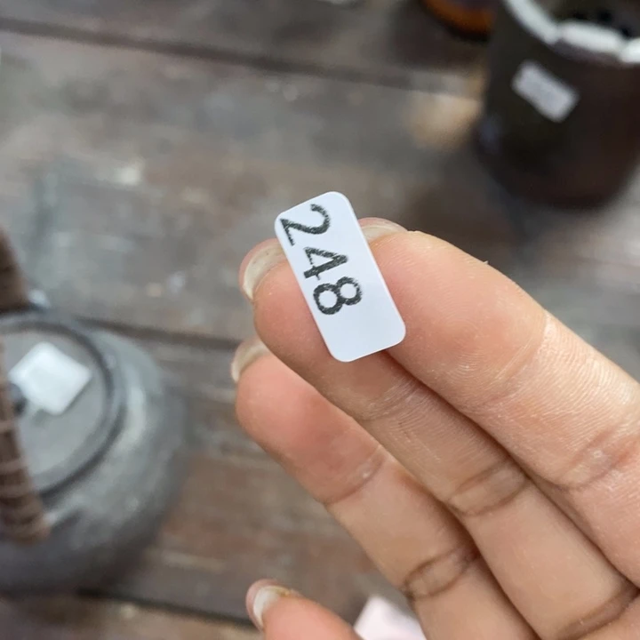 狼***道柴烧裸烧源头产地