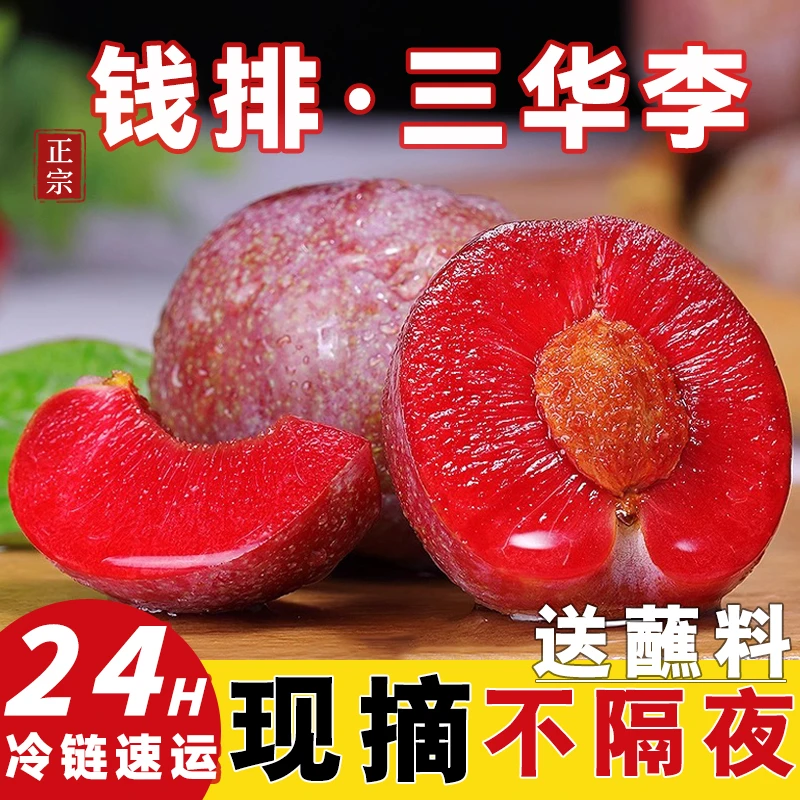 (精选大果)新鲜现摘李子正宗广东钱排红心三华李2斤起（送辣椒盐）