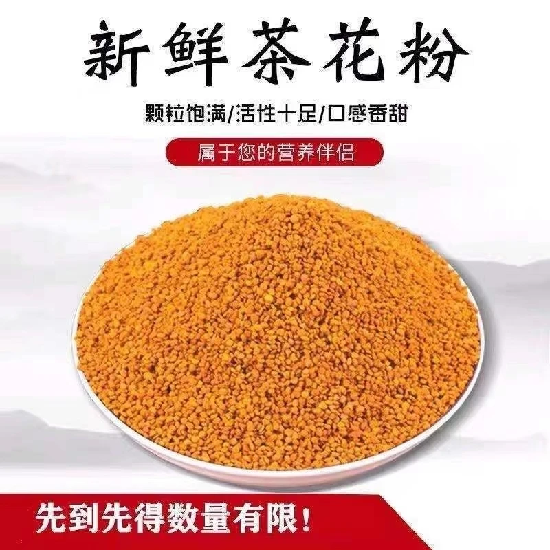新鲜茶花粉蜂场直发