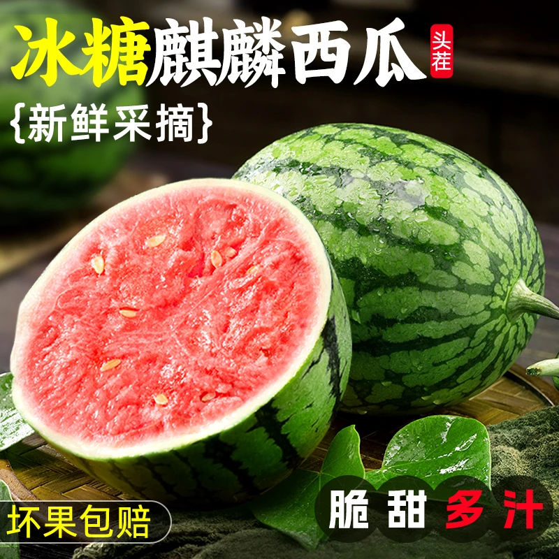 正宗冰糖麒麟西瓜当季新鲜水果切薄皮脆甜红瓤无大小籽西瓜超甜