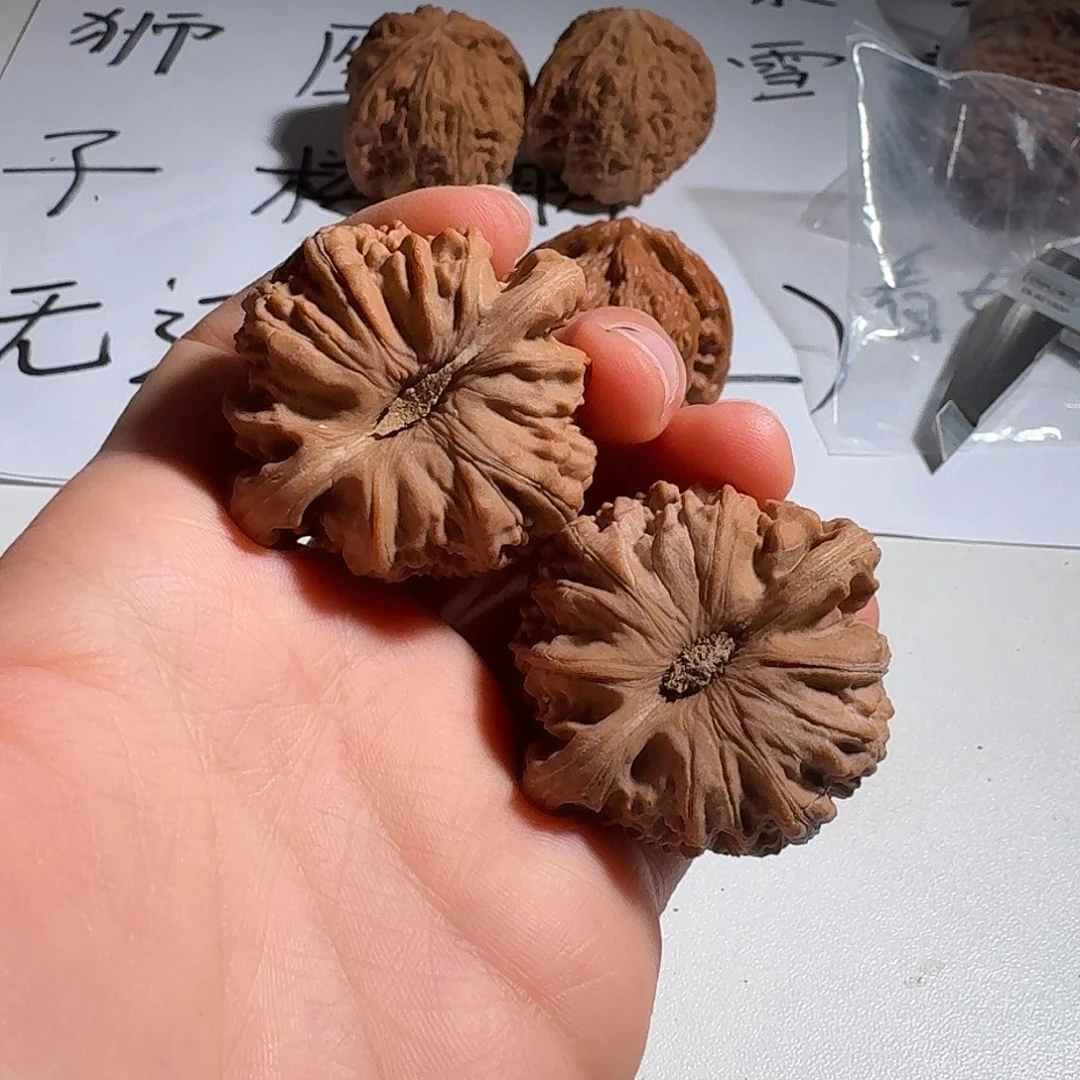 .***.核桃文玩白狮子41