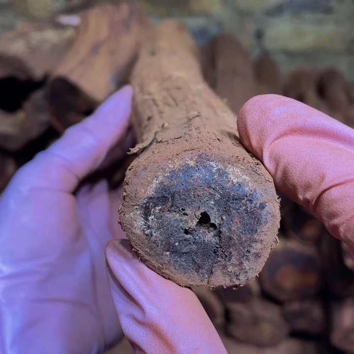 降真香手串/手链定制缅甸小叶降真香