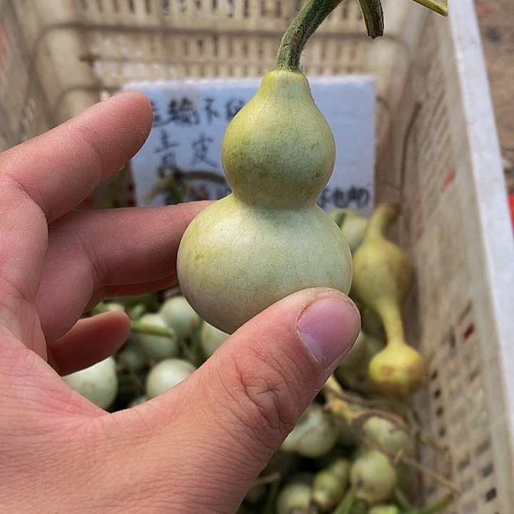 L*Y哈哈哈哈哈哈哈哈姐