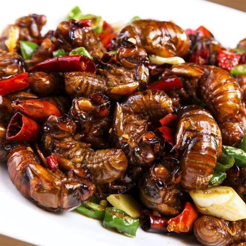 金蝉爬拉猴爬叉猴新鲜知了猴新蝉蛹爬叉猴速冻顺丰冷链发货