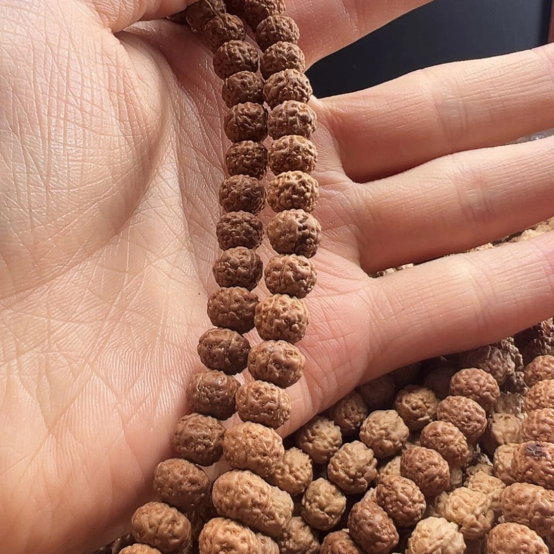 吊坠金刚菩提老树王