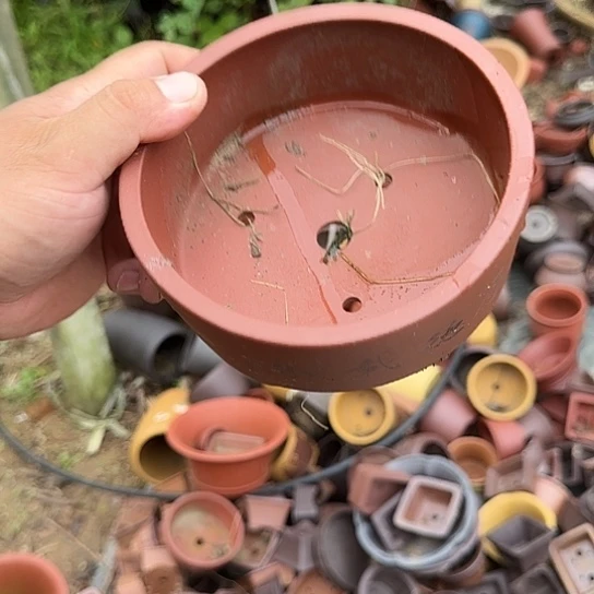 在家里等车回家我才放心啦