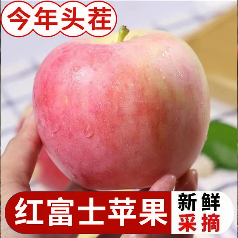 2025新鲜当季红富士丑苹果酸甜可口农场直发新鲜现摘