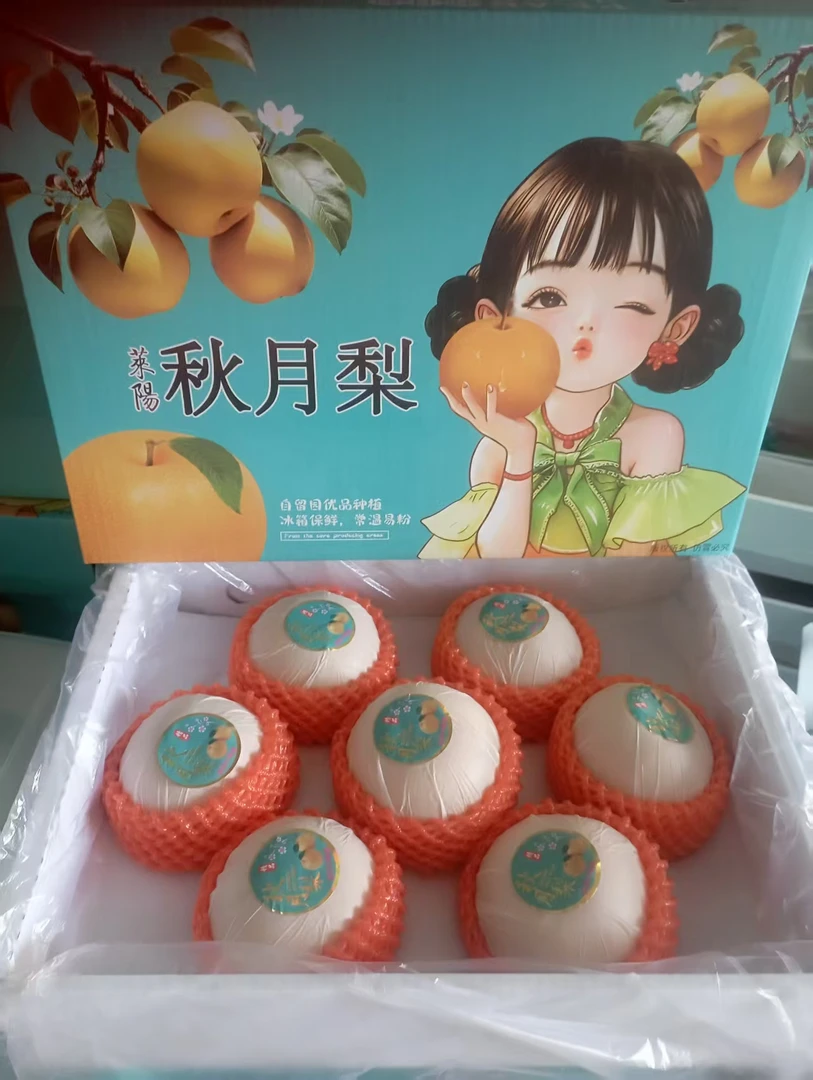 【豪华送礼必备手提袋礼盒】山东秋月梨正宗莱阳秋月梨8斤中秋礼盒