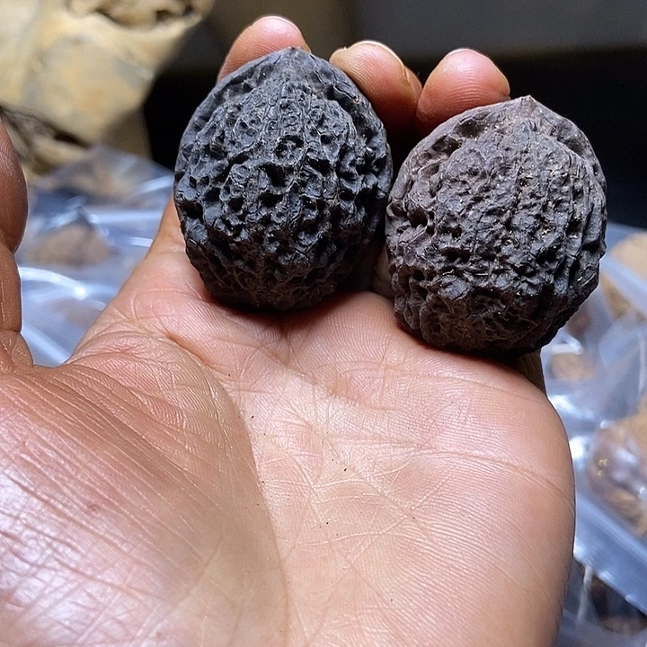 把件文玩核桃云南铁核桃基地41