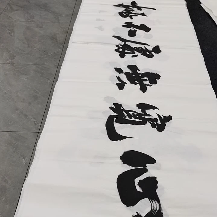 翰墨申国栋老师作品