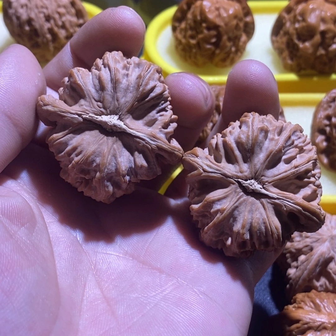 麒**视白狮子全品无休无打底