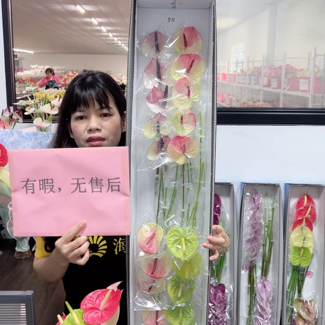 完全开放混色-20枝装无售后款512