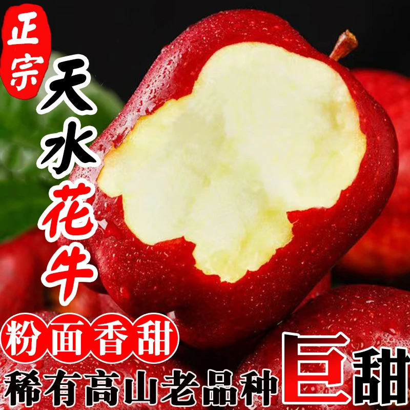 甘肃天水花牛苹果当季新鲜水果粉面香甜红蛇果宝宝辅食刮泥2-10斤