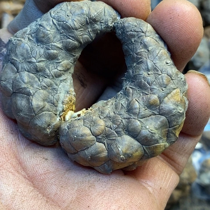 吊坠桃核娜姐真的132