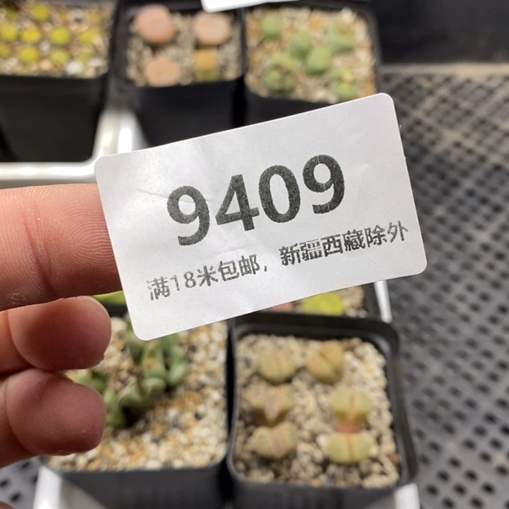固****9409。