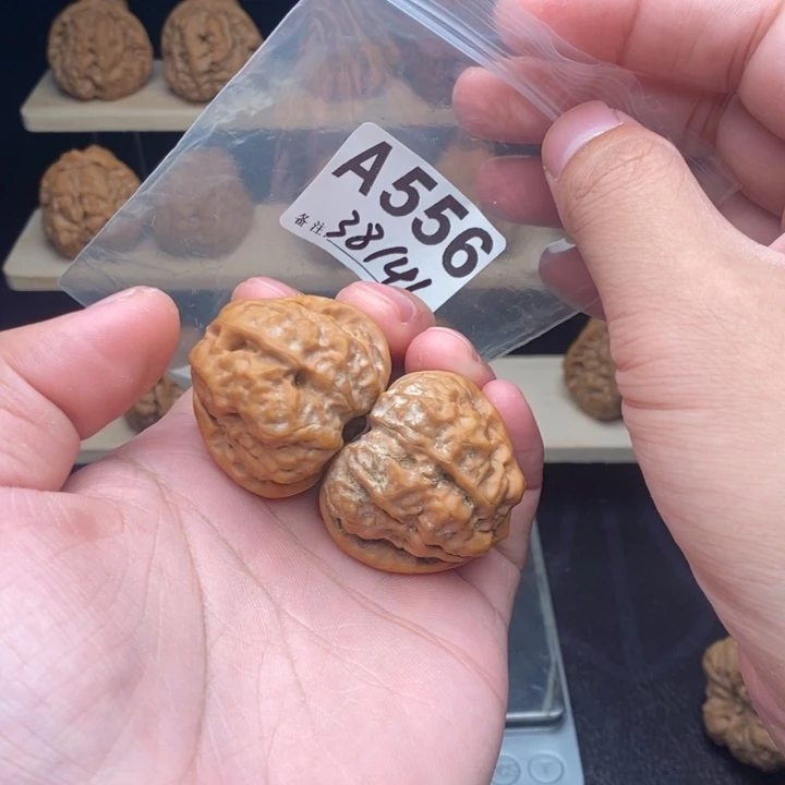 核桃A556蛤蟆38尺平价款