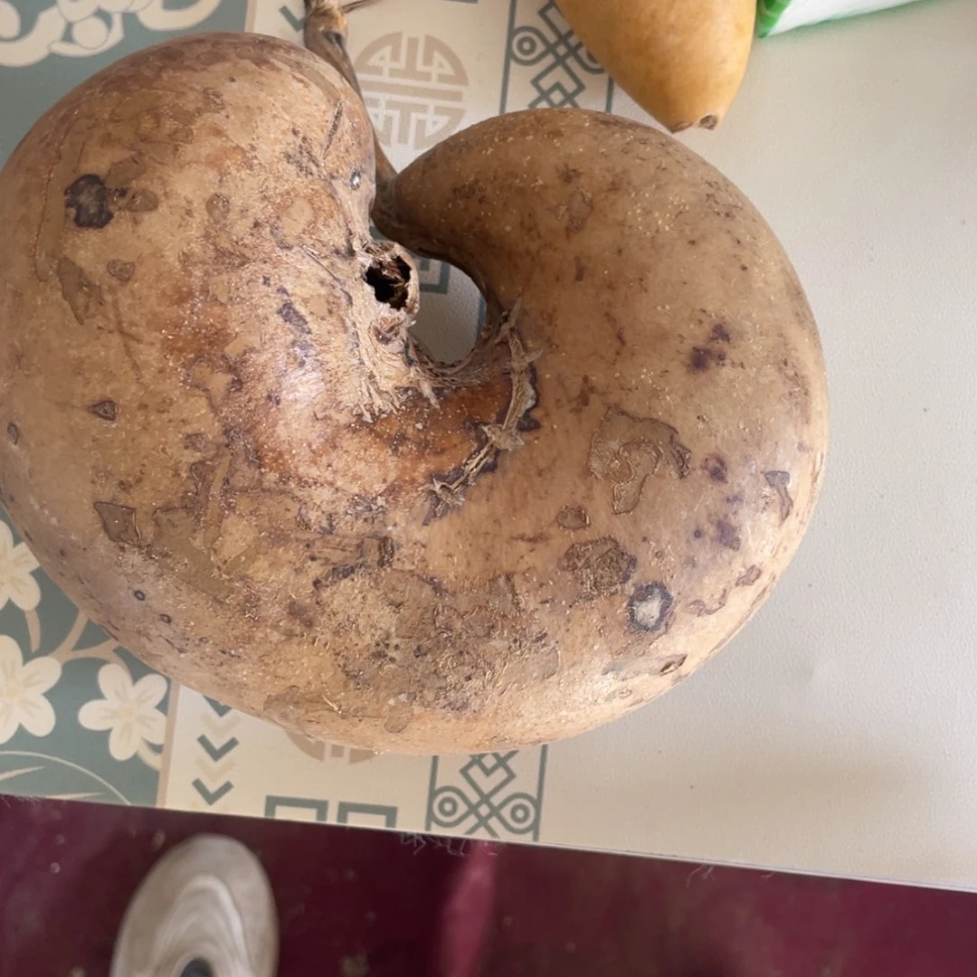 快***乐葫芦葫芦葫芦葫芦