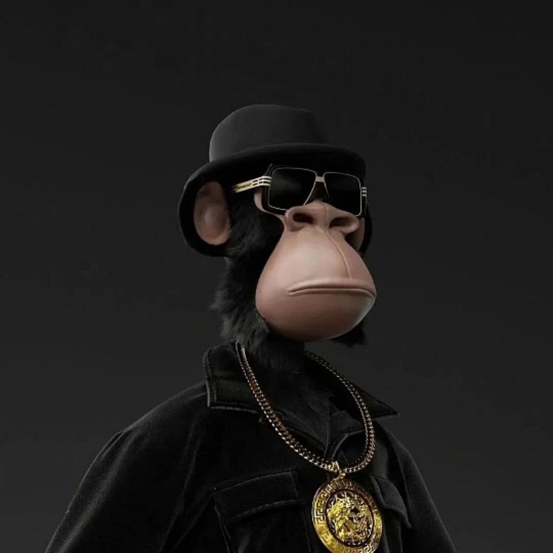 冬季白鸭绒男士宽松潮流工装羽绒服马甲时尚百搭保暖GS1275