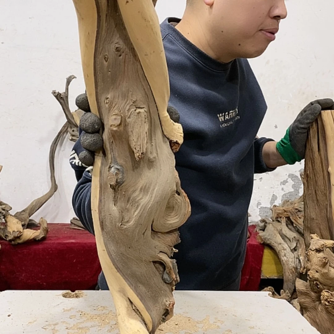 【闪购商品】柏木展****）我们都是好孩子