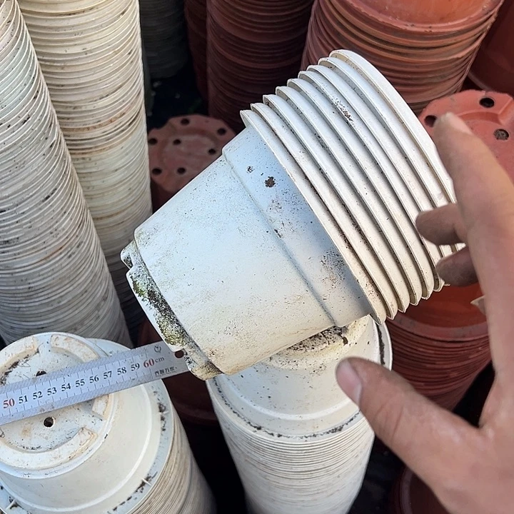 白色圆盆口径16高10.5发