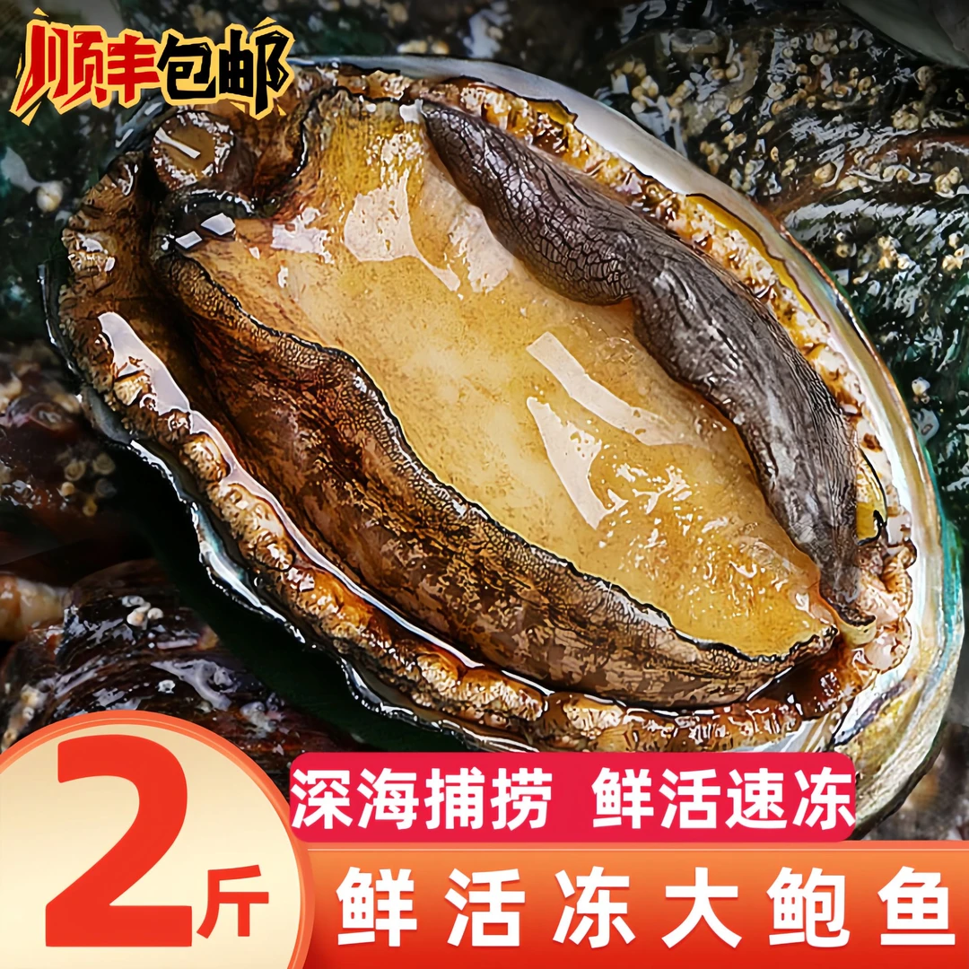 鲍鱼鲜活速冻新鲜海鲜水产发顺丰24只