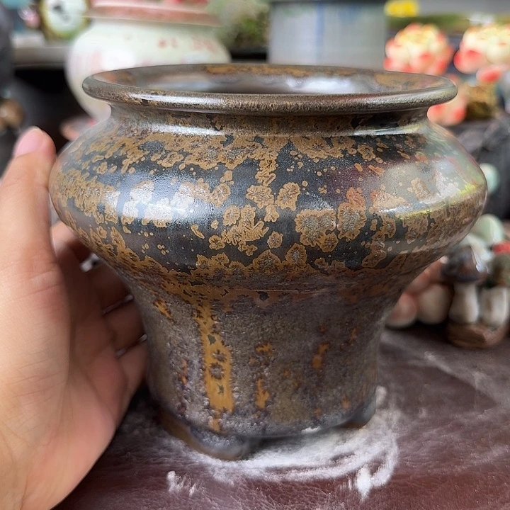 重庆小燕子欢迎大家