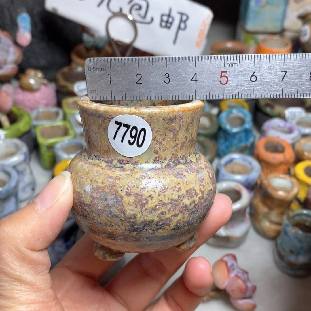 拍5送一个小礼物