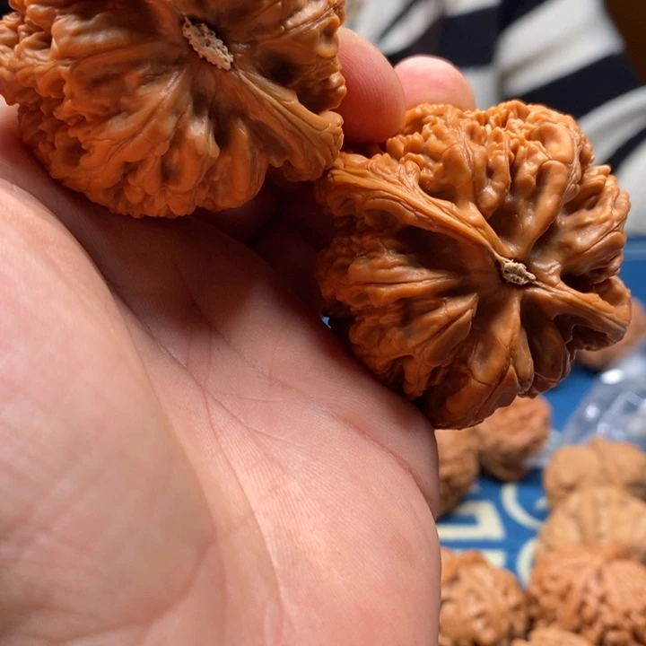 风***者吊坠文玩核桃大粗筋核桃