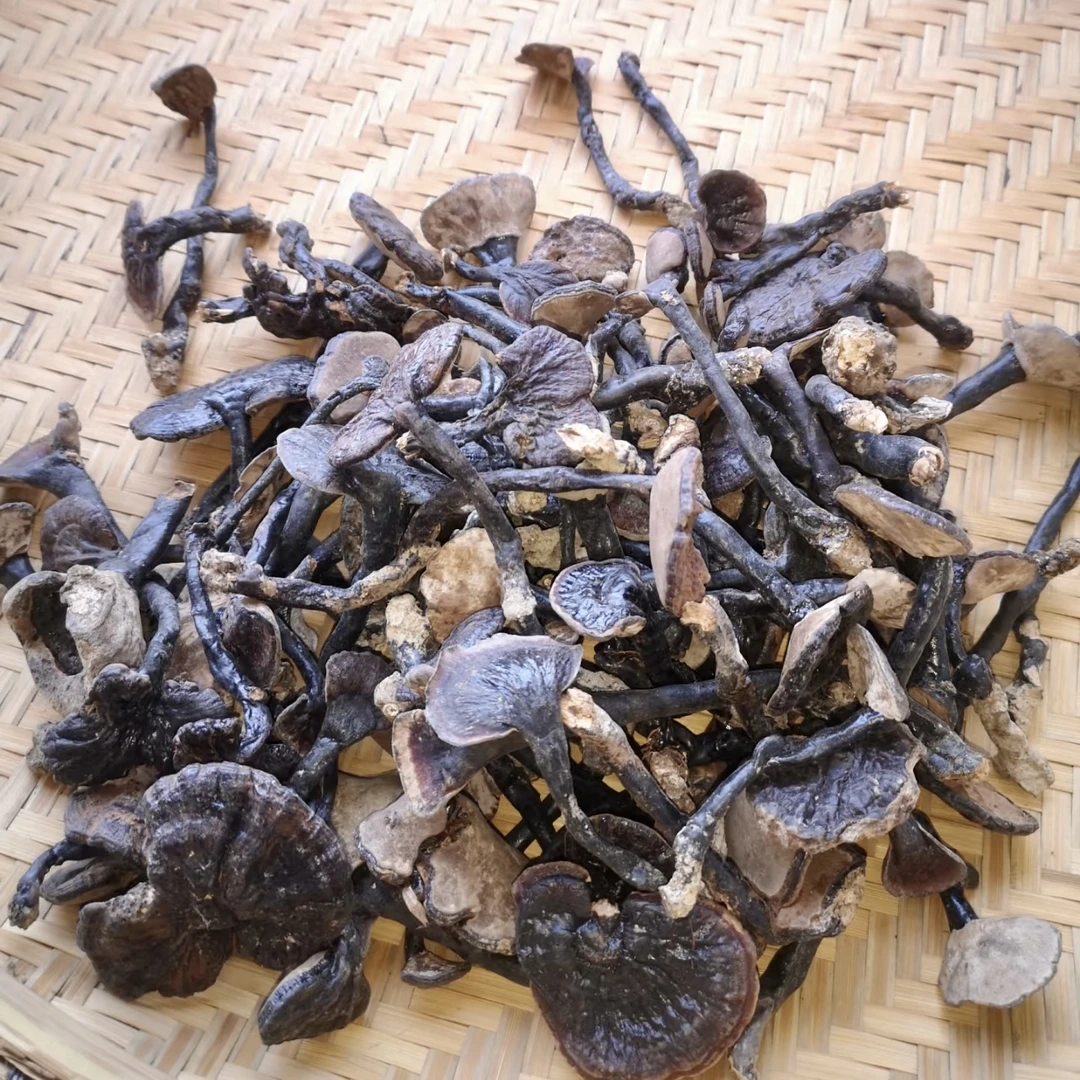 野生小灵芝 泡茶泡水专用250g袋装